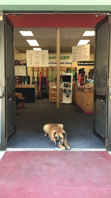 Tygart Mountain Sports